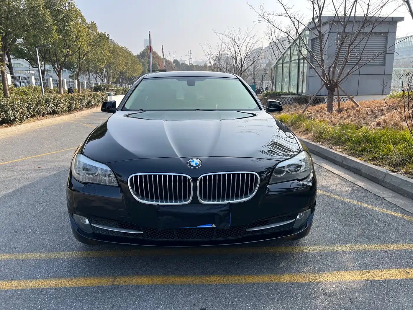 BMW 5 Series 2013 525Li Leadership фото 2
