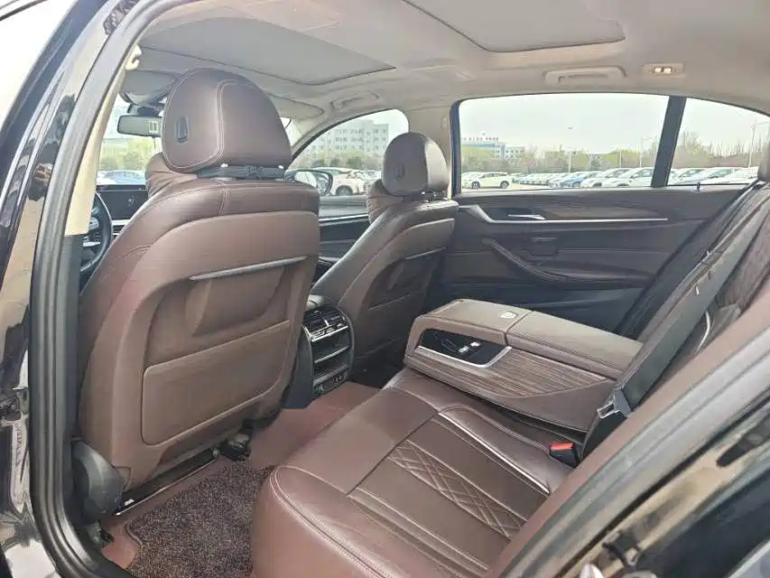 BMW 5 Series 2020 530Li xDrive Luxury Package фото 5