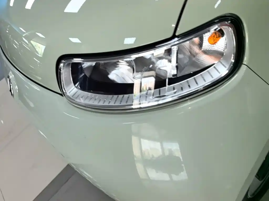 Ora White Cat 2021 2022 Upgraded 305km Luxury (NMC)