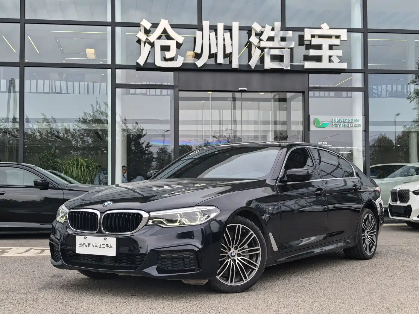 BMW 5 Series 2020 530Li Leading M Sport Package