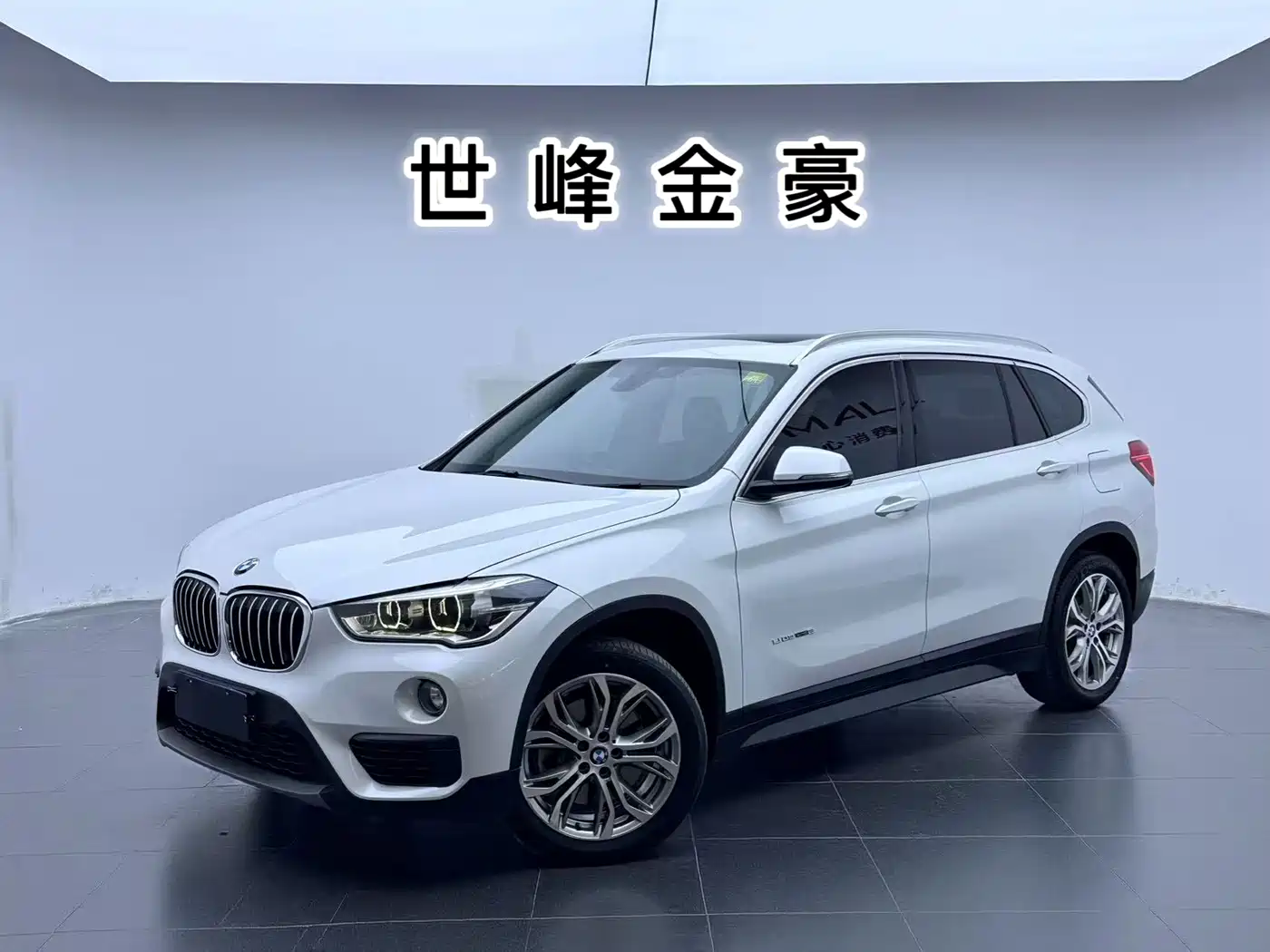 BMW X1
