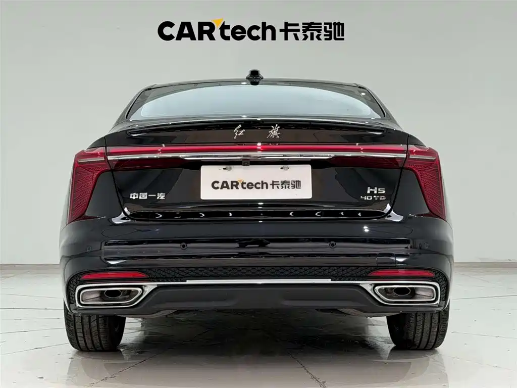 Hongqi H5 2025 2.0T Automatic Flag Celebration 500,000 Units Anniversary Edition фото 9