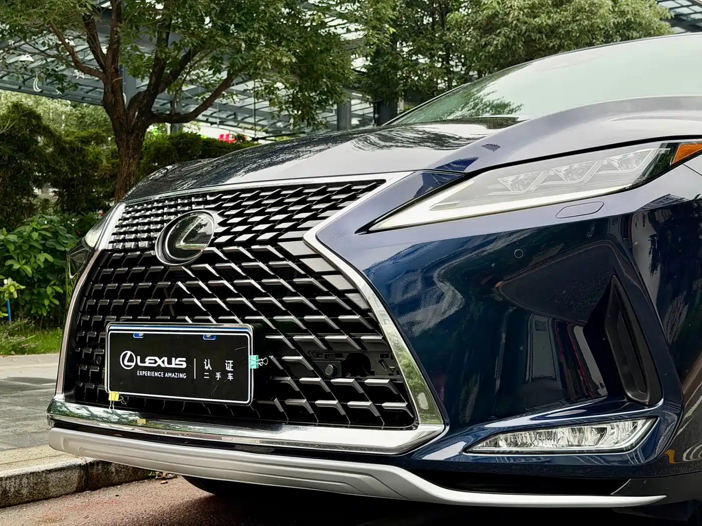 Lexus RX 2020 Facelift 300 AWD Elegance Edition фото 3