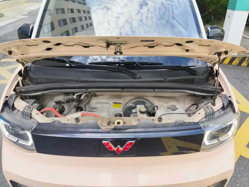 Фото 9 - Wuling Motors Hongguang MINIEV