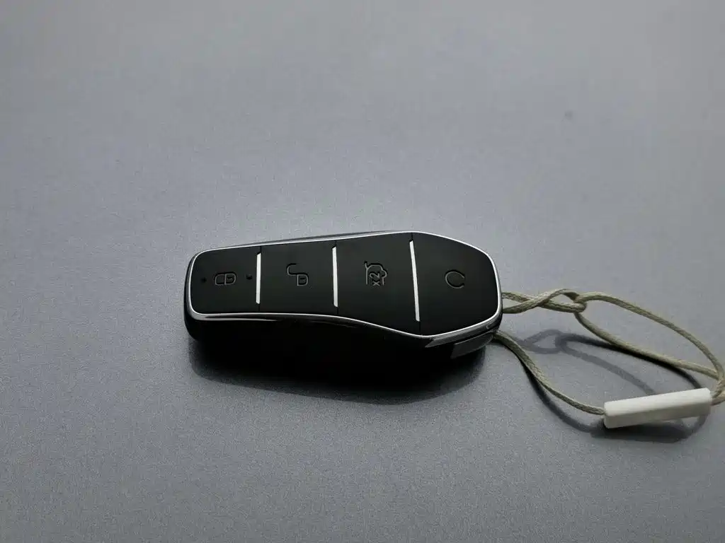 BYD Sealion, миниатюра 19