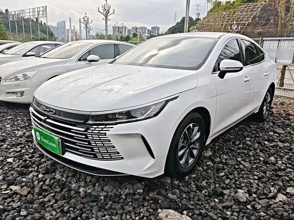 BYD Destroyer 05 2025 2024 Glory Edition DM-i 55KM Luxury