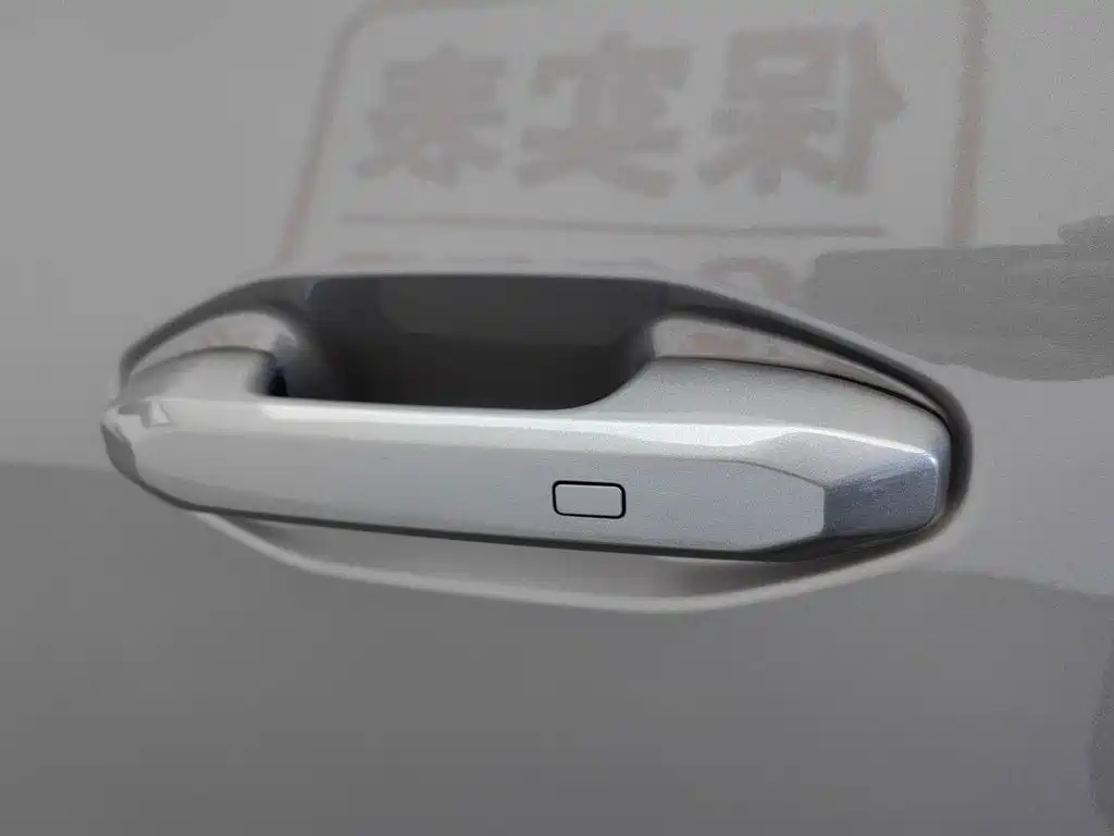 Jetour Shanhai T2 2025 2024 C-DM 129KM Forest Edition