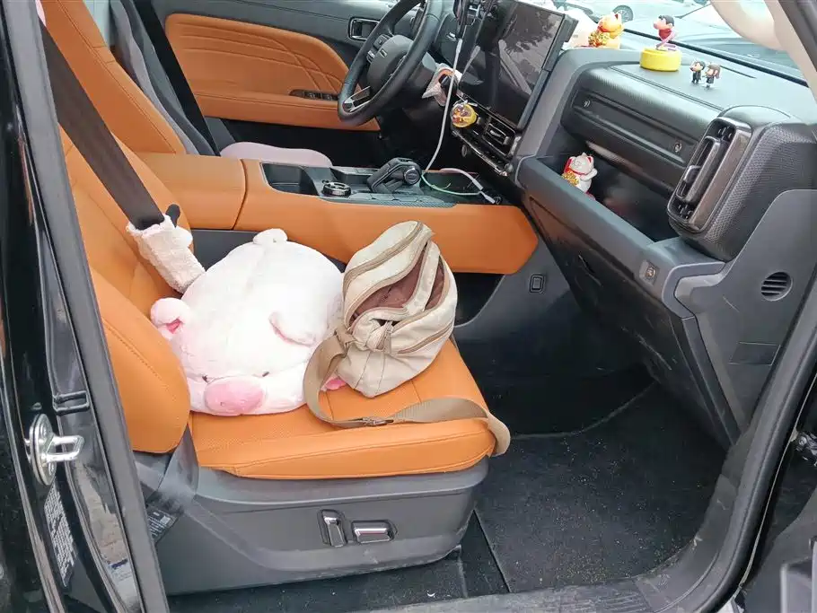 Haval Meng Long NEV 2024 Hi4 102 Pro фото 8