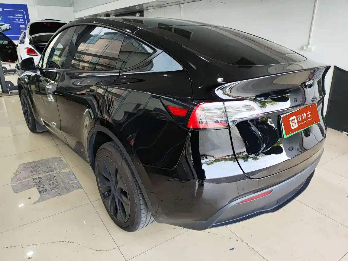 Tesla Model Y 2024 Long Range AWD фото 5