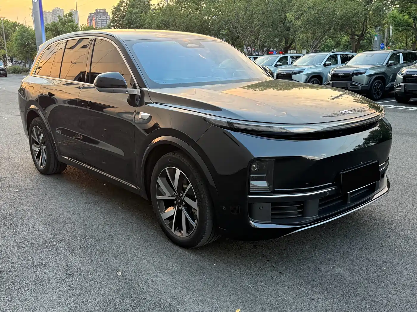 Li Auto Li L8 2023 Pro фото 3