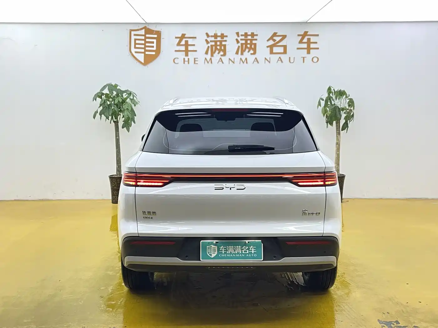 BYD Song Pro New Energy 2026 2026 DM-i 133KM Progressive