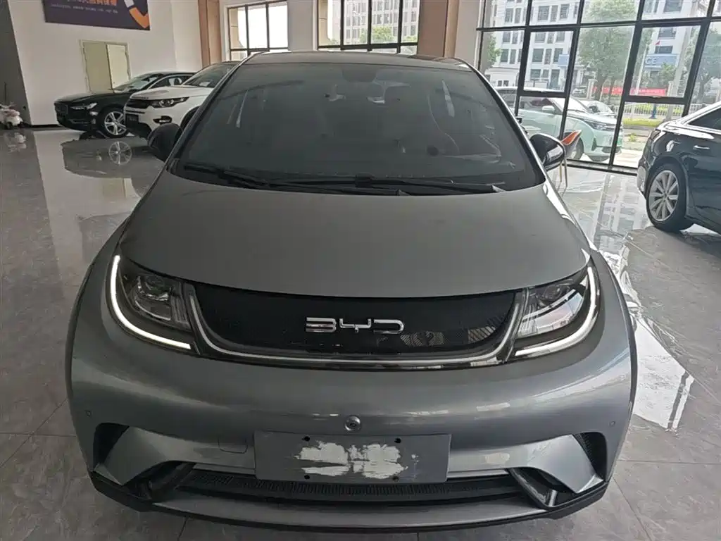 Фото 3 - BYD Dolphin