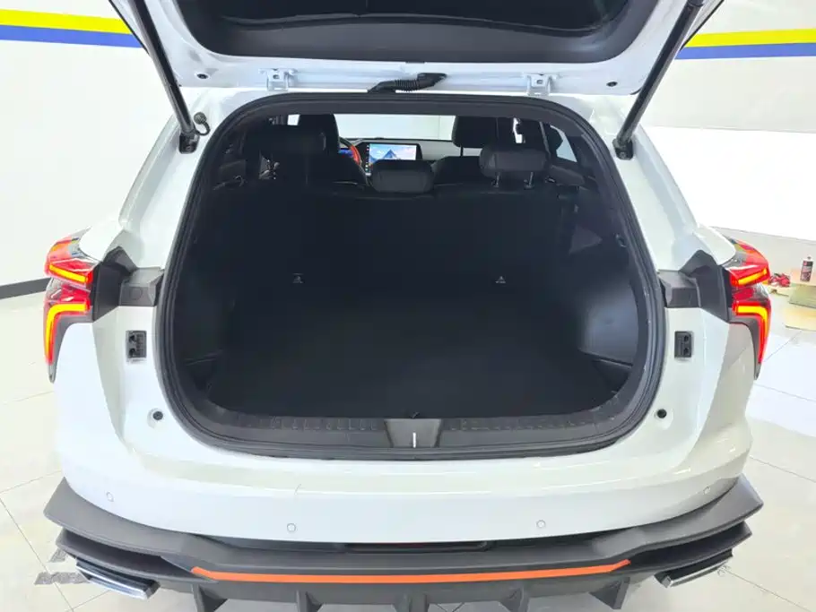 2023 Haval Shenshou
