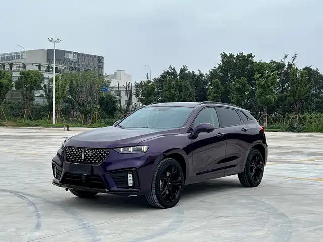 WEY VV7 2021 Model 2.0T Technology Edition