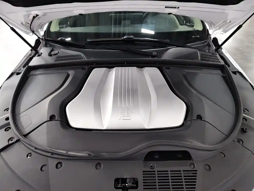 BYD TANGXIN ENERGY