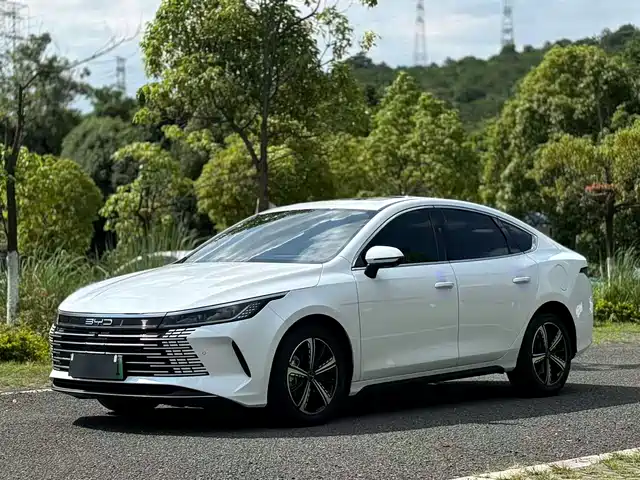 BYD Destroyer 05 2023 Champion Edition DM-i 55KM Premium