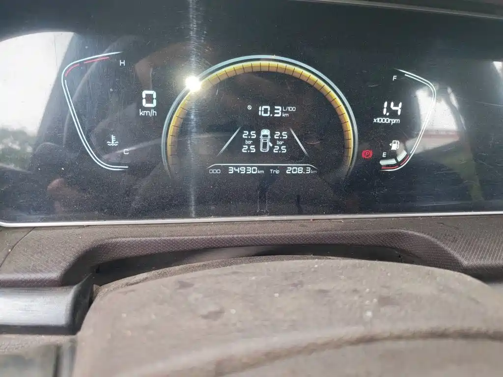 2023 BAW (Beijing Automobile Works) Ruisheng Ace M7