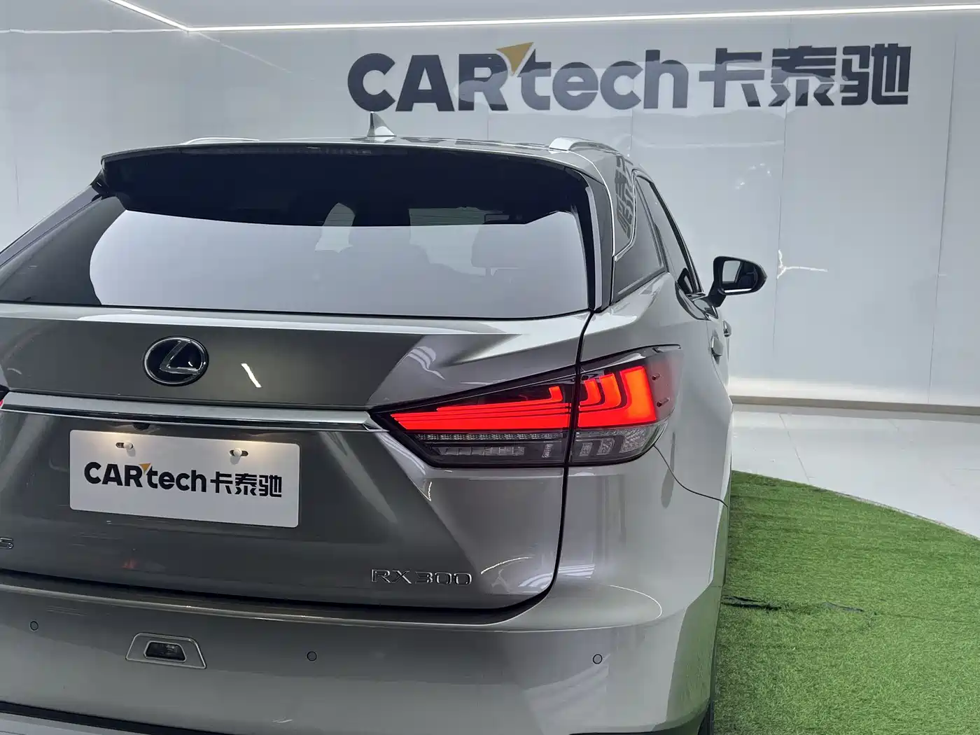Lexus RX 2021 300 AWD Special Edition фото 33