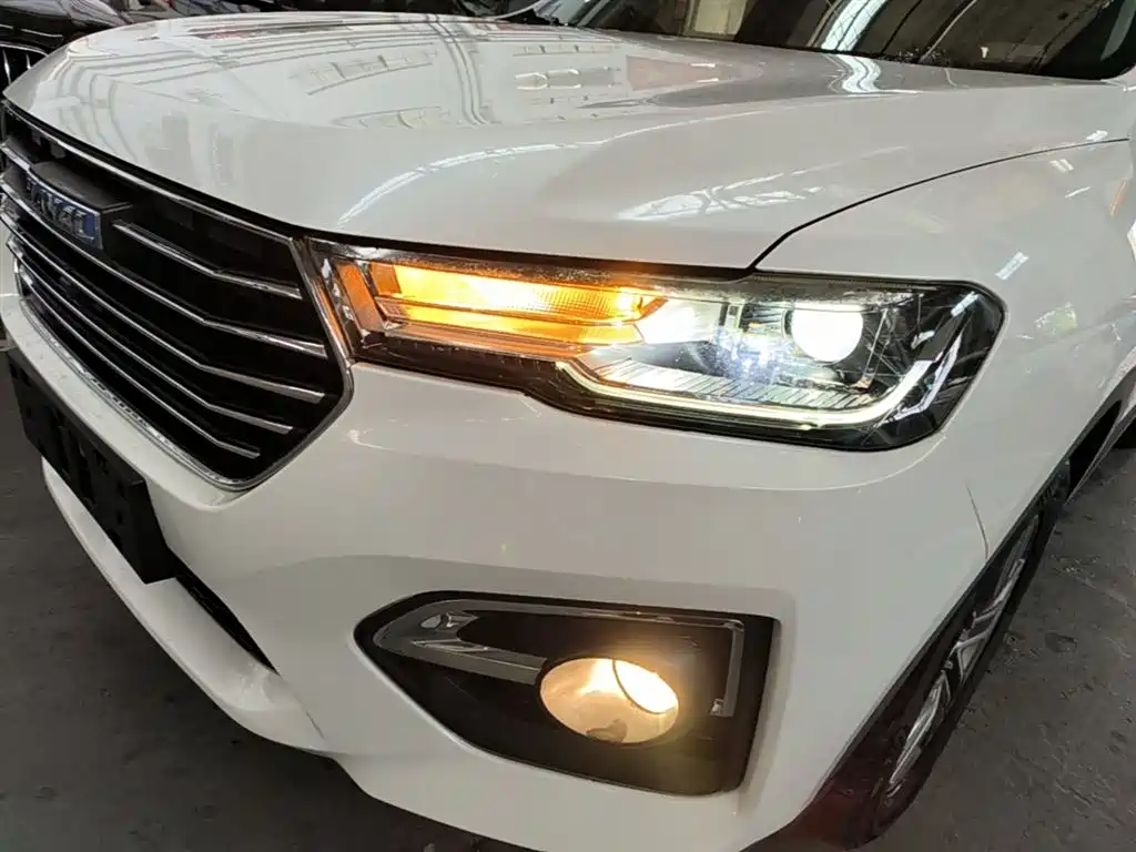 Haval H6 2019 Blue Label 1.5GDIT Automatic Champion Version фото 24