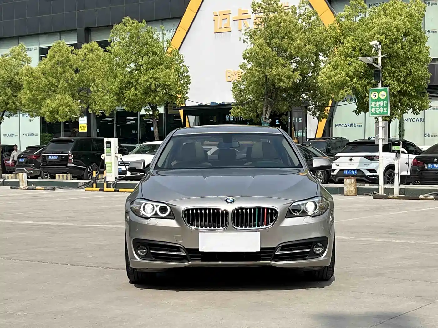 BMW 5 Series 2014 525Li Leading фото 2