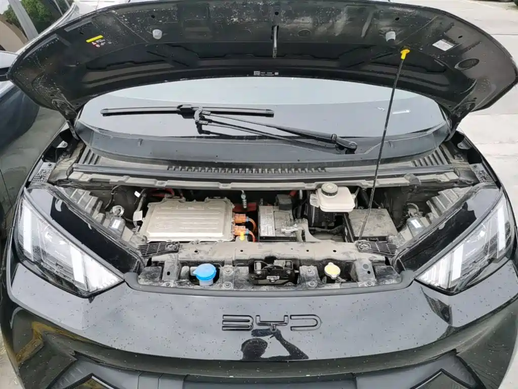 BYD Seagull 2023 Vitality Edition фото 20