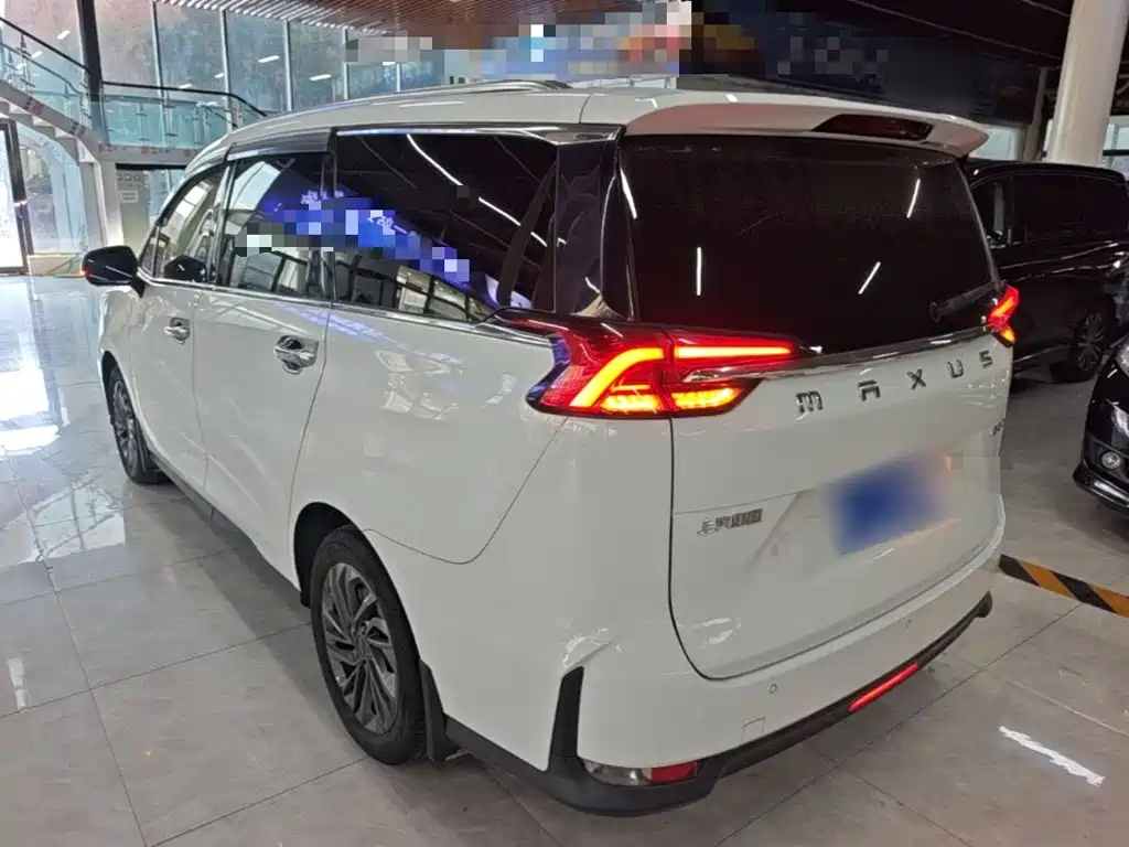 Фото 5 - Maxus Maxus G50
