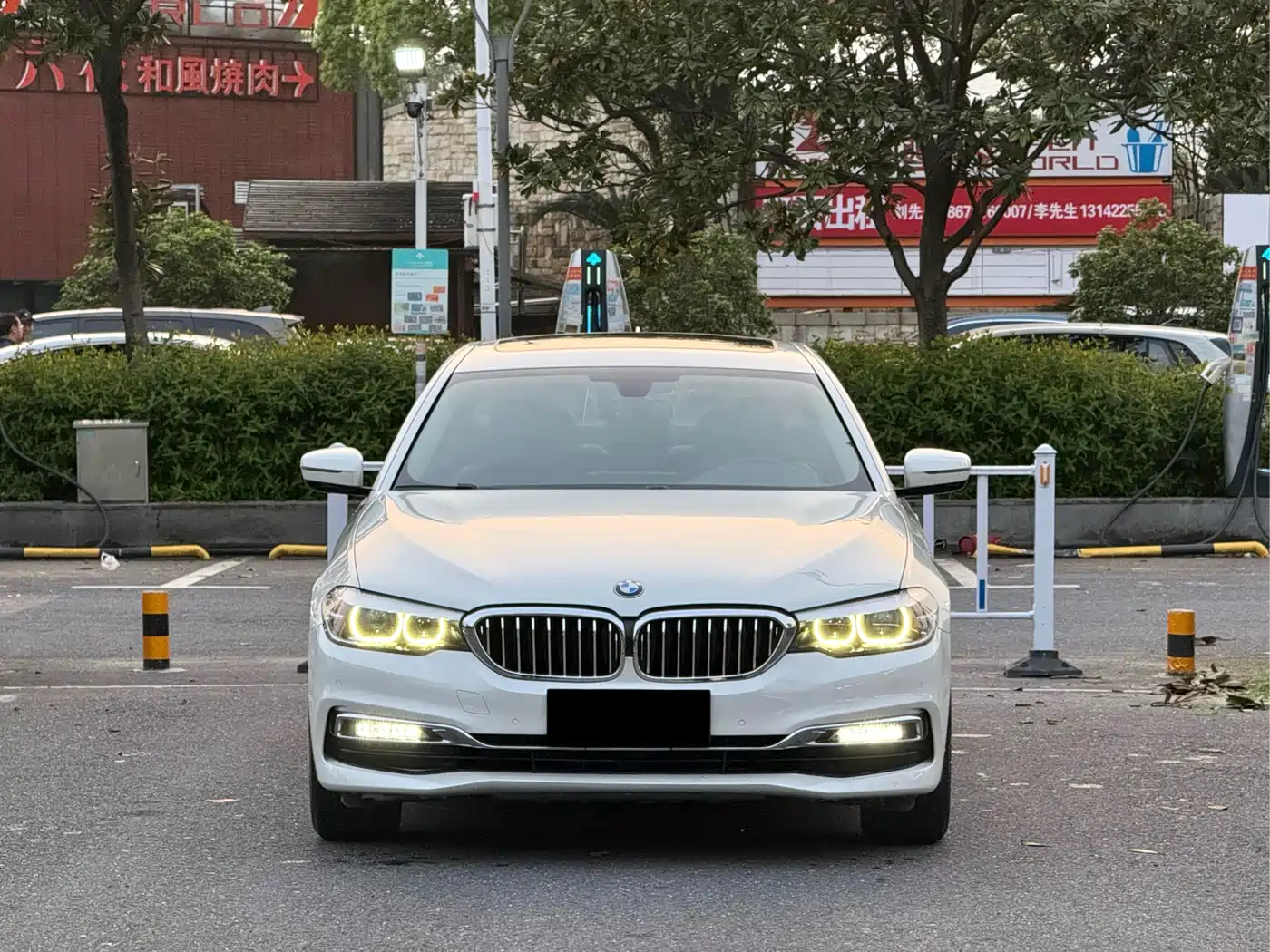 BMW 5 Series 2019 530Li Leading Luxury Package фото 2