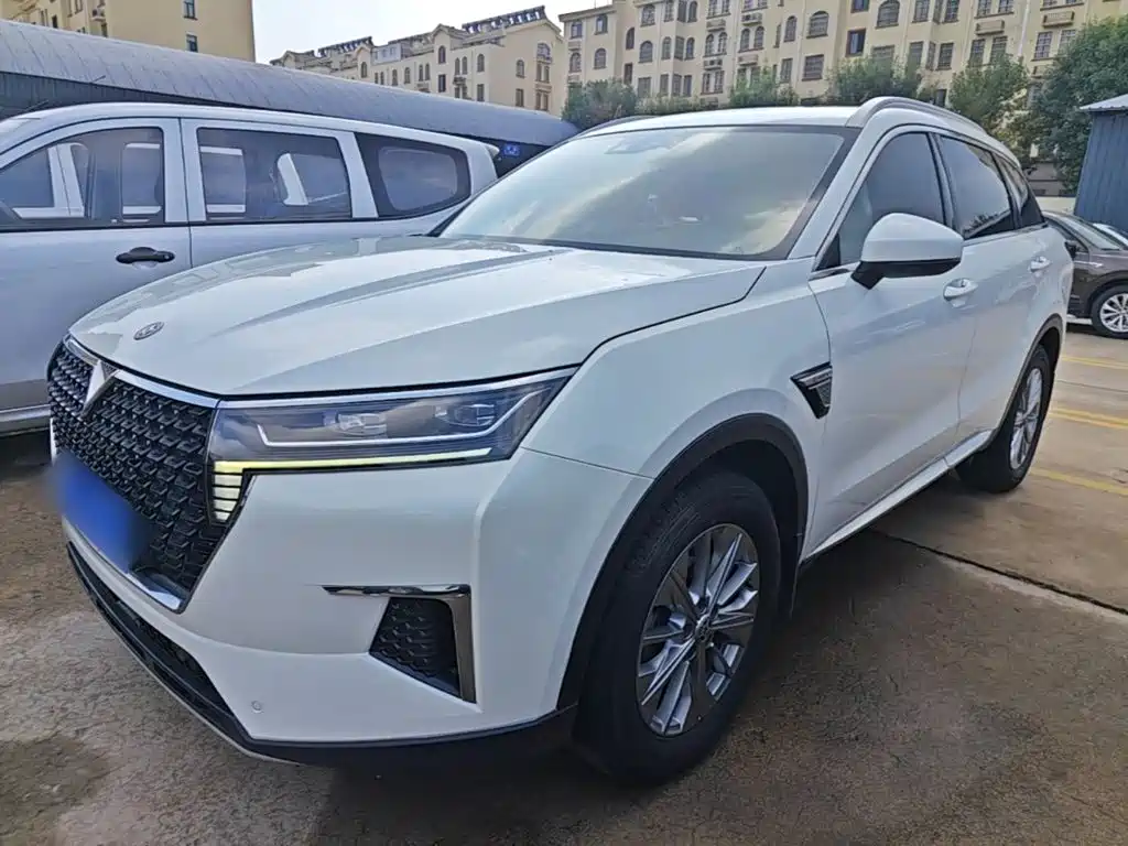 Venucia Star 2020 — пригон из Китая