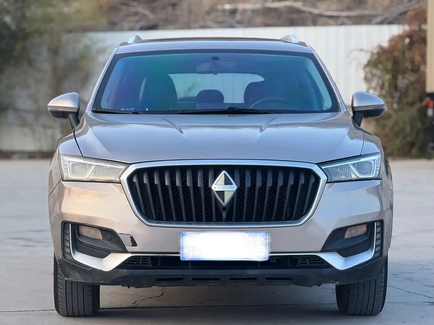 Borgward BX5 2019 2017 Model 20TGDI Automatic 2WD Vanguard Type