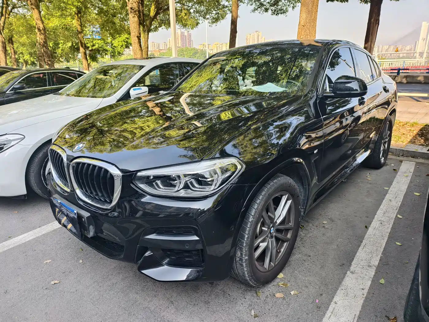 BMW X4 2020 xDrive25i M Sport Package