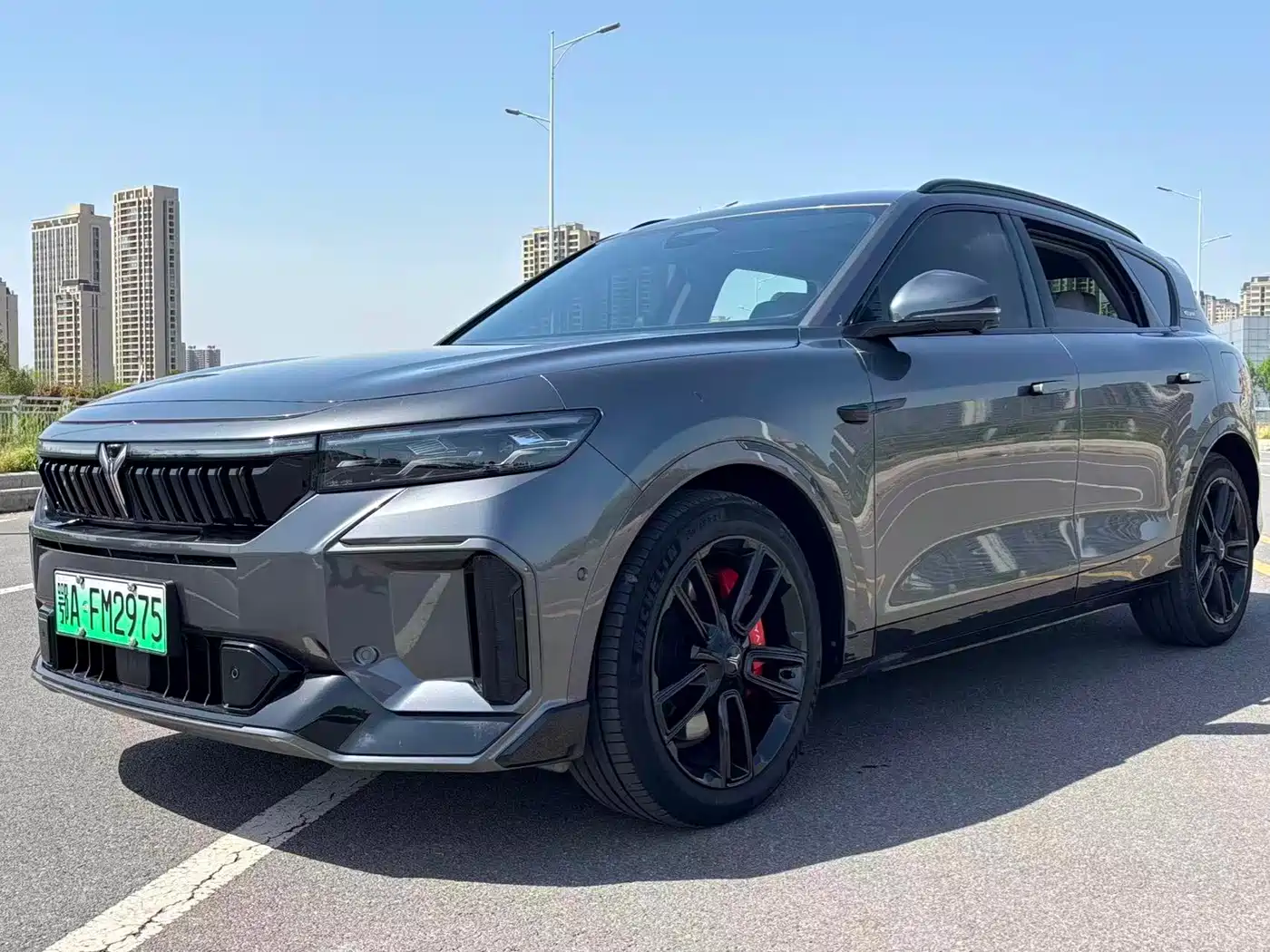 Voyah Auto VOYAH FREE 2025 2025 318 318km RWD Touring Edition