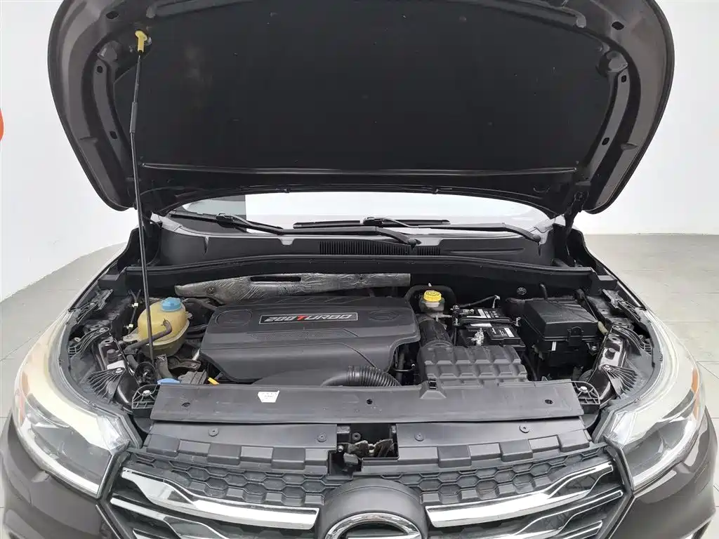 GAC Trumpchi Trumpchi GS4 2015 200T G-DCT Premium Edition фото 6