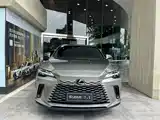 Фото 1 - Lexus RX