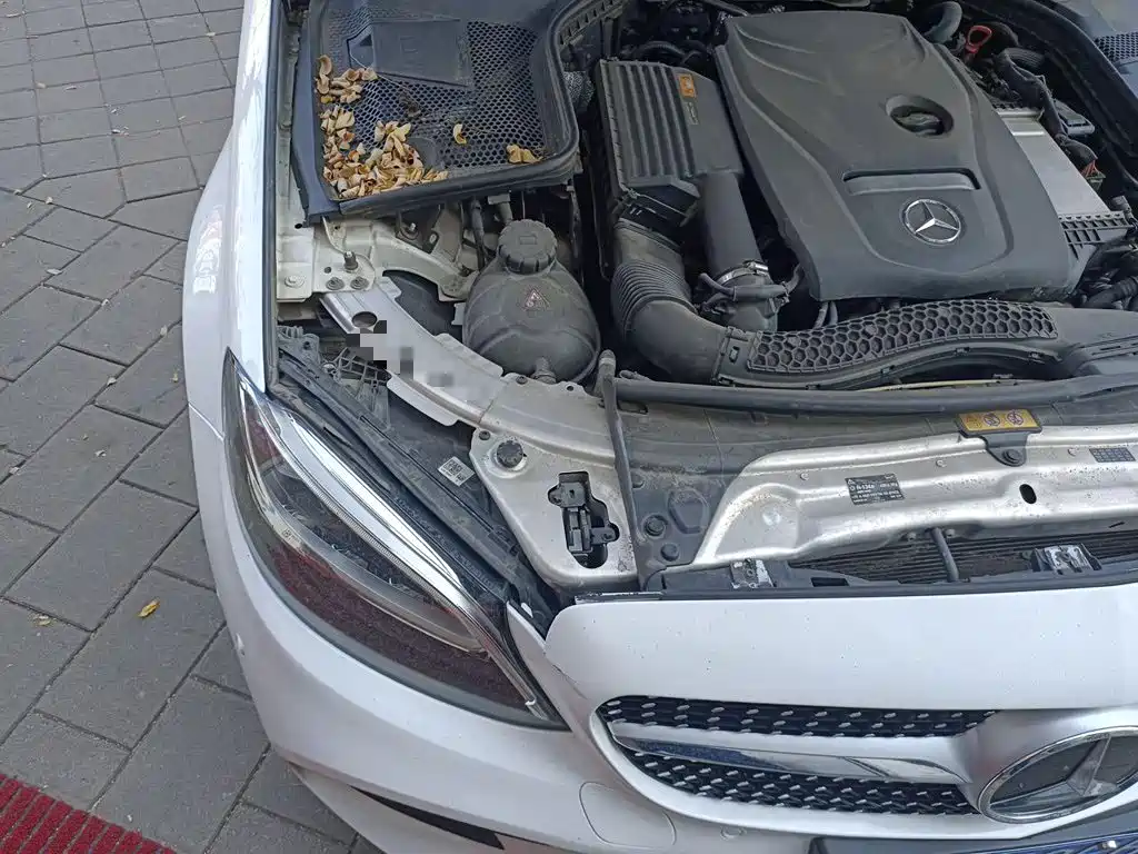 Фото 20 - Mercedes-Benz C-Class