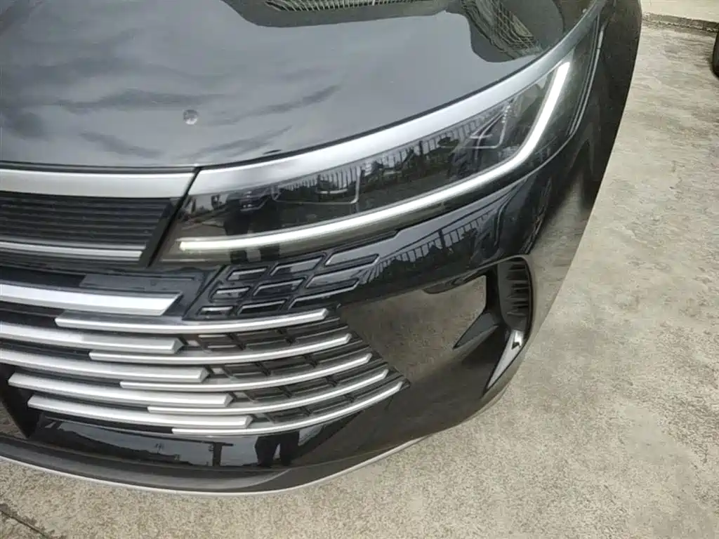 BYD Destroyer 05 2024 Glory Edition DM-i 55KM Luxury фото 24