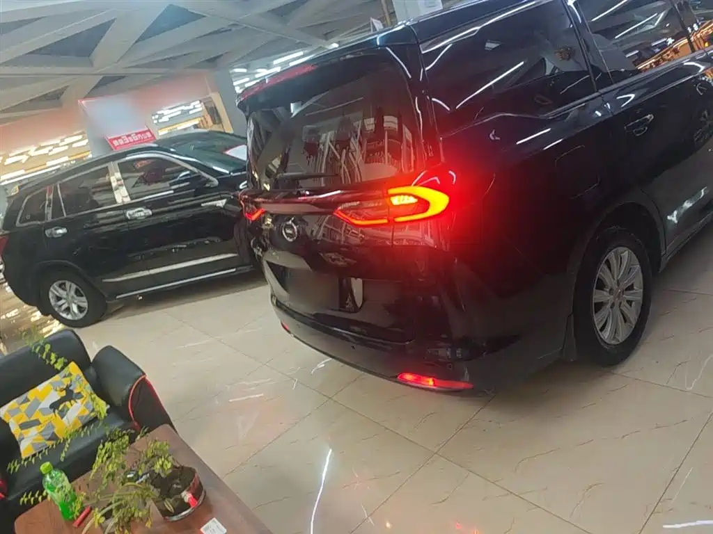 GAC Trumpchi Trumpchi M6 2019 270T DCT Luxury Edition (7-seater) (China VI) фото 6