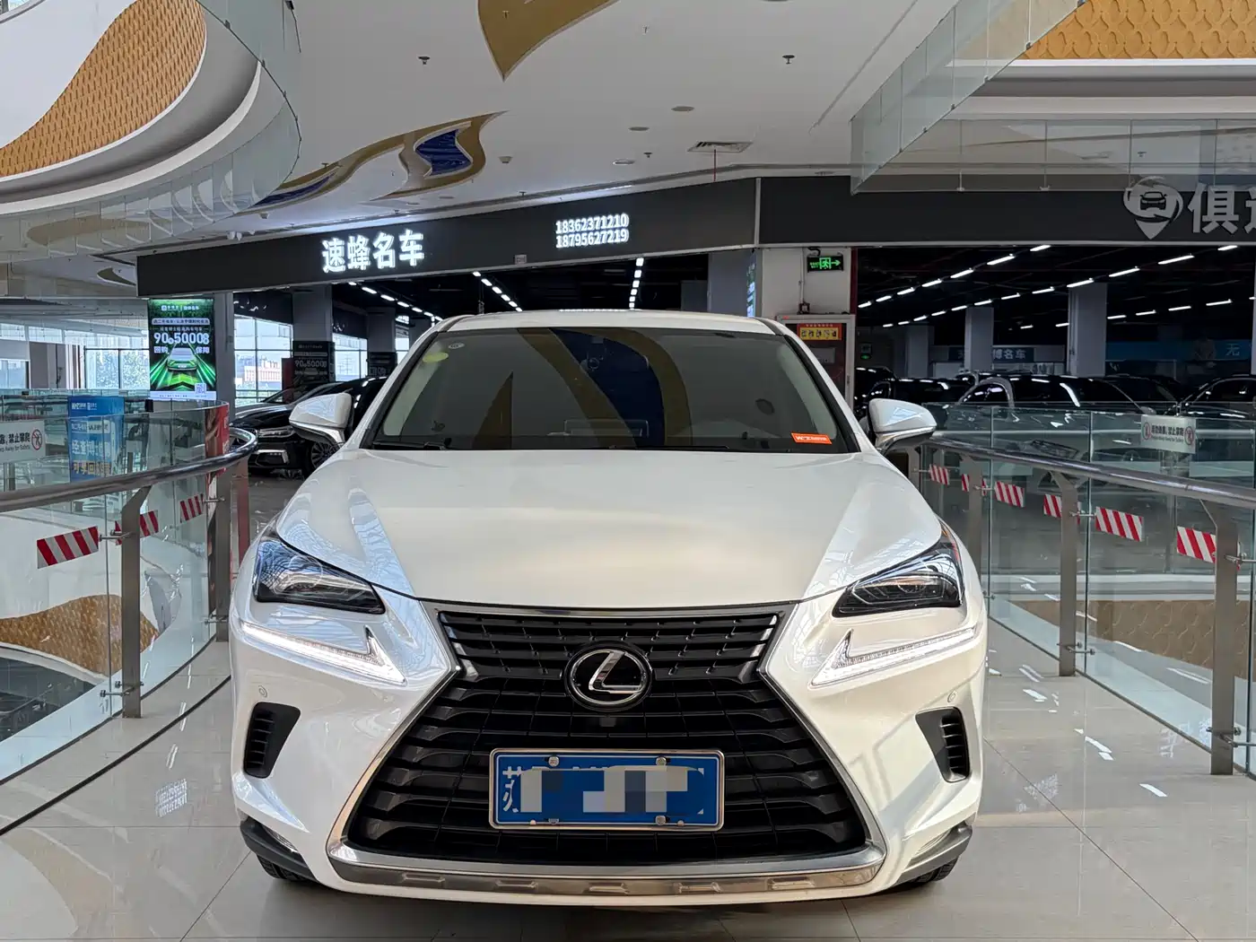 LEXUS NX