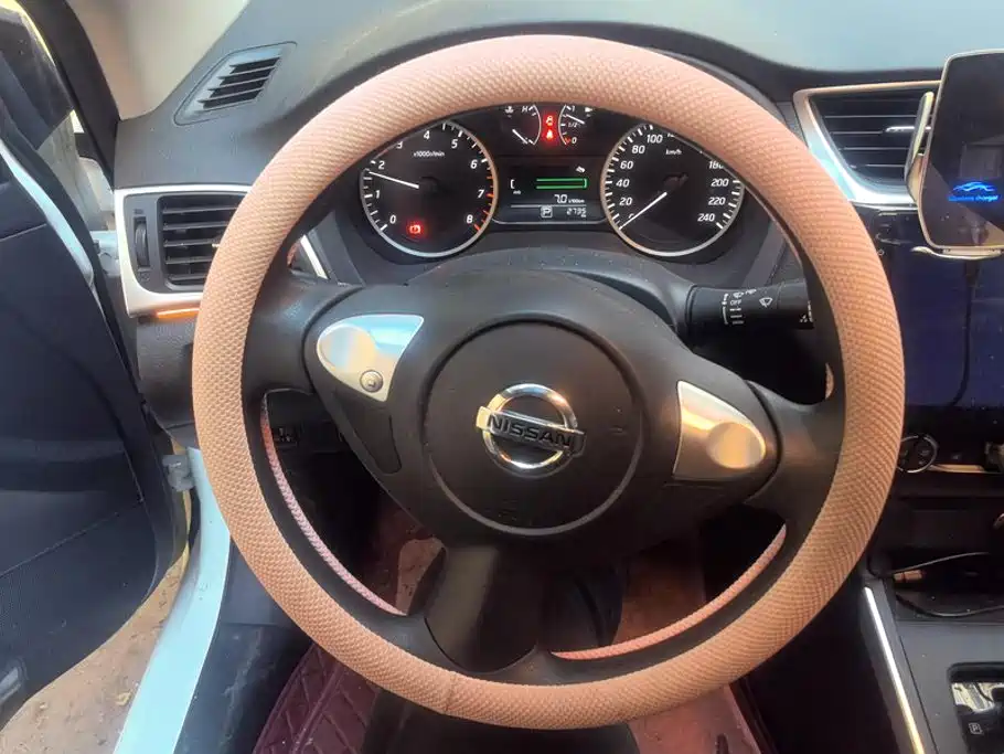 صورة 15 - Nissan Sylphy