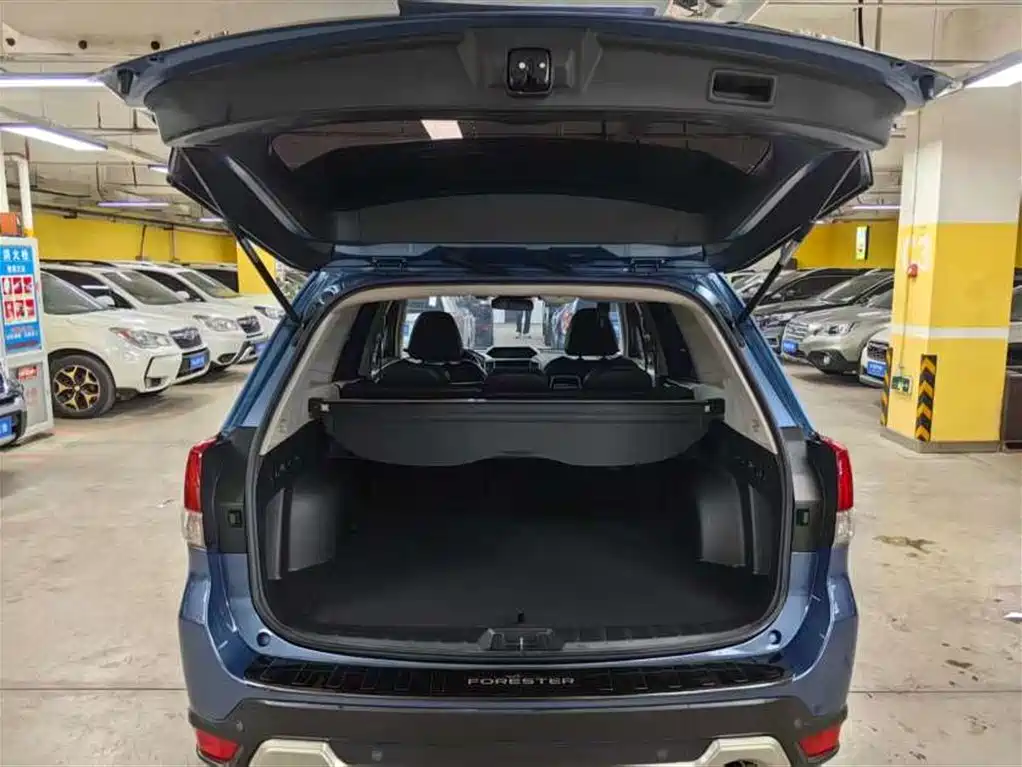 Subaru Forester 2019 2.0i Luxury Edition EyeSight фото 9