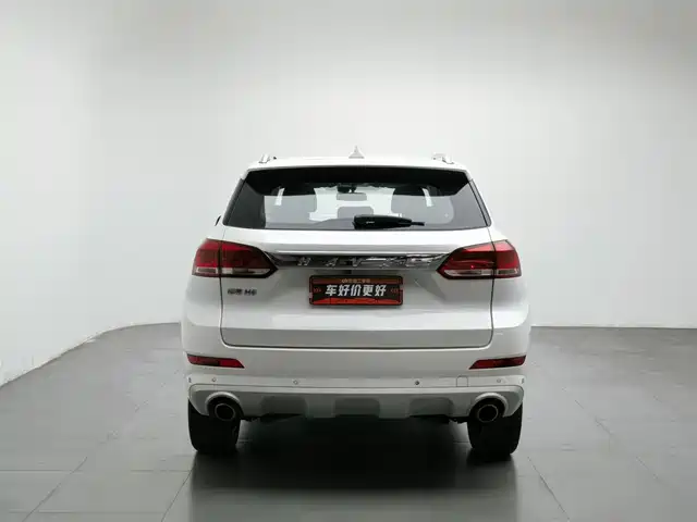 Haval H6 Coupe 2018 Red Label 1.5T Auto 2WD Ultra Luxury — фото 4