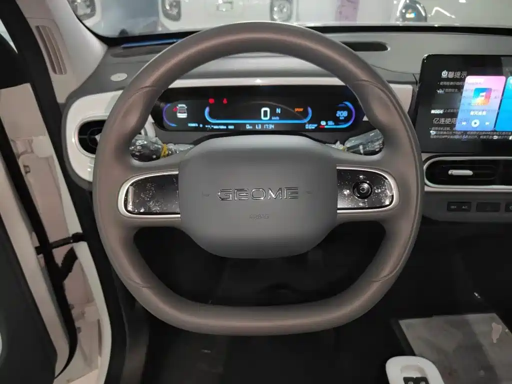 Geely Galaxy Panda 2026 2025 Panda mini 210km Vitality Bear