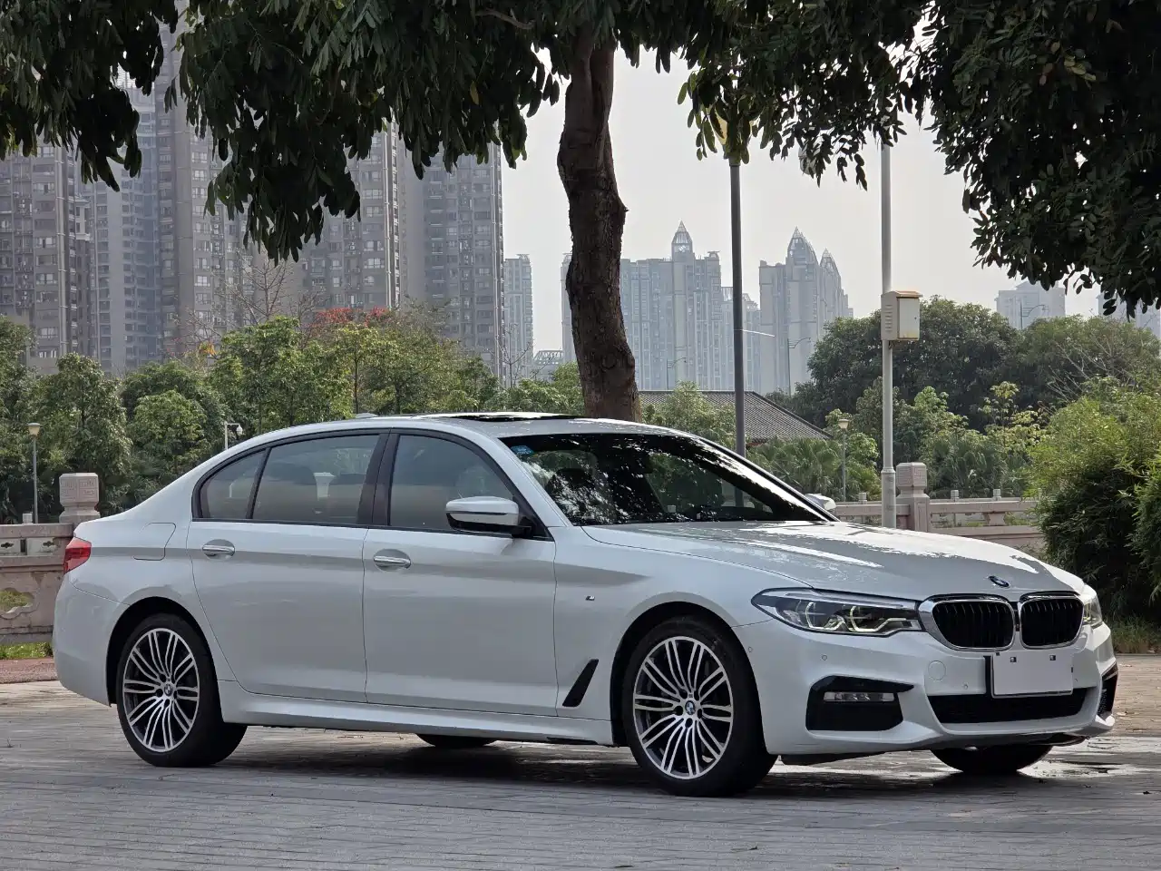 BMW 5 Series 2018 530Li Premium M Sport Package фото 3