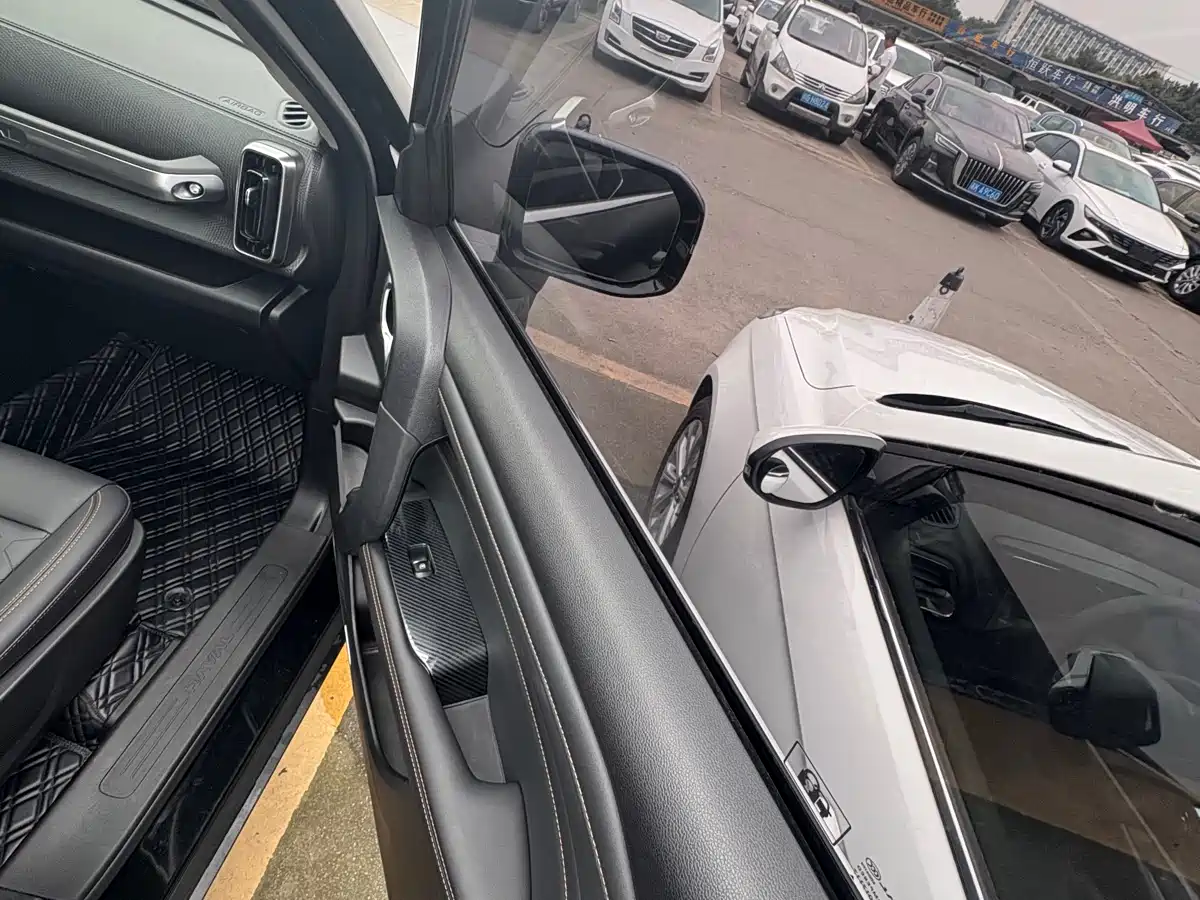 Haval Big Dog 2024 1.5T DCT Border Collie Edition фото 6