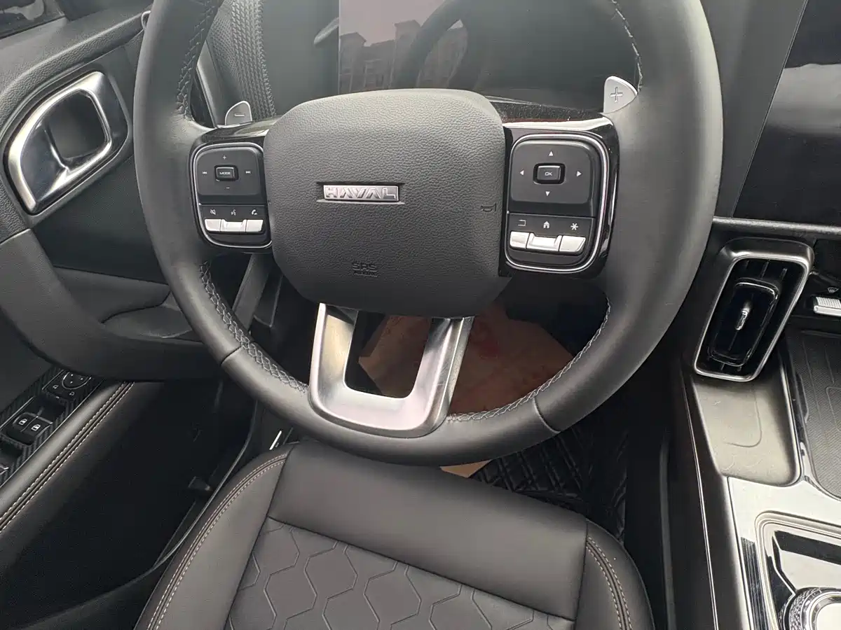 Haval Big Dog 2024 1.5T DCT Border Collie Edition фото 9