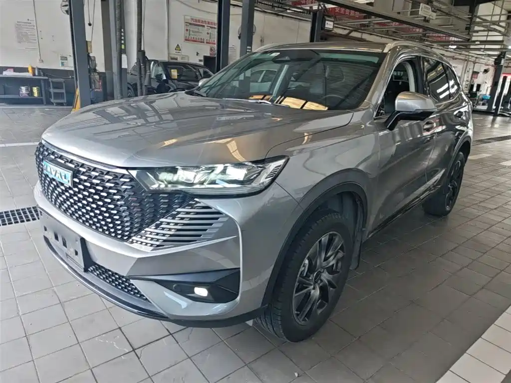 Haval H6 New Energy 2023 DHT-PHEV 55KM Joy Ride Edition фото 2