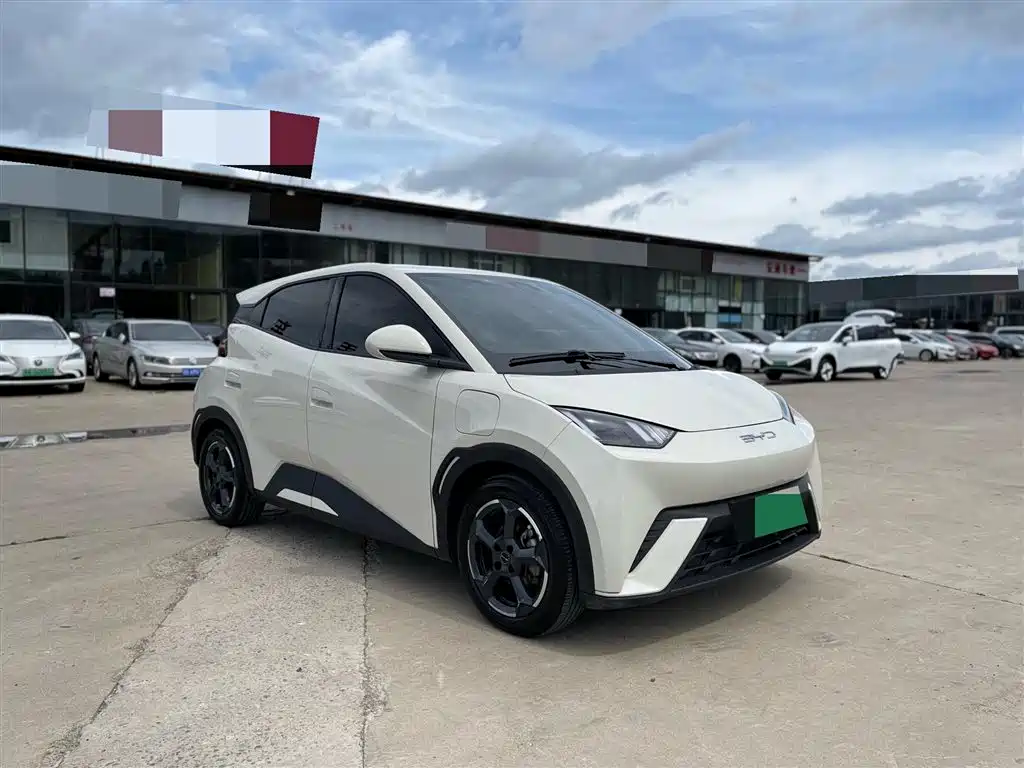 BYD Seagull 2023 Flying Edition фото 3