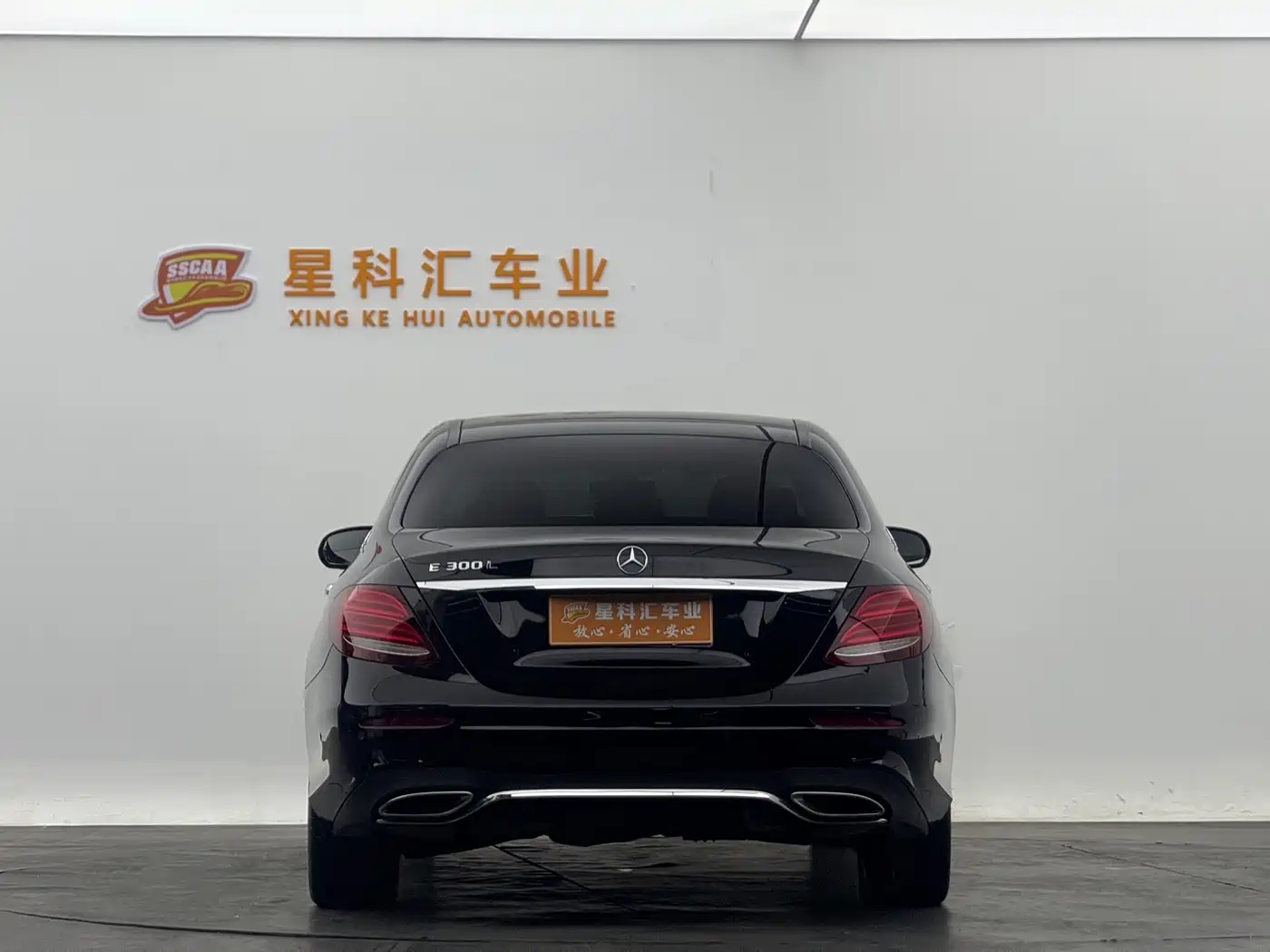 Mercedes-Benz E-Class 2019 E 300 L Sport Luxury фото 15