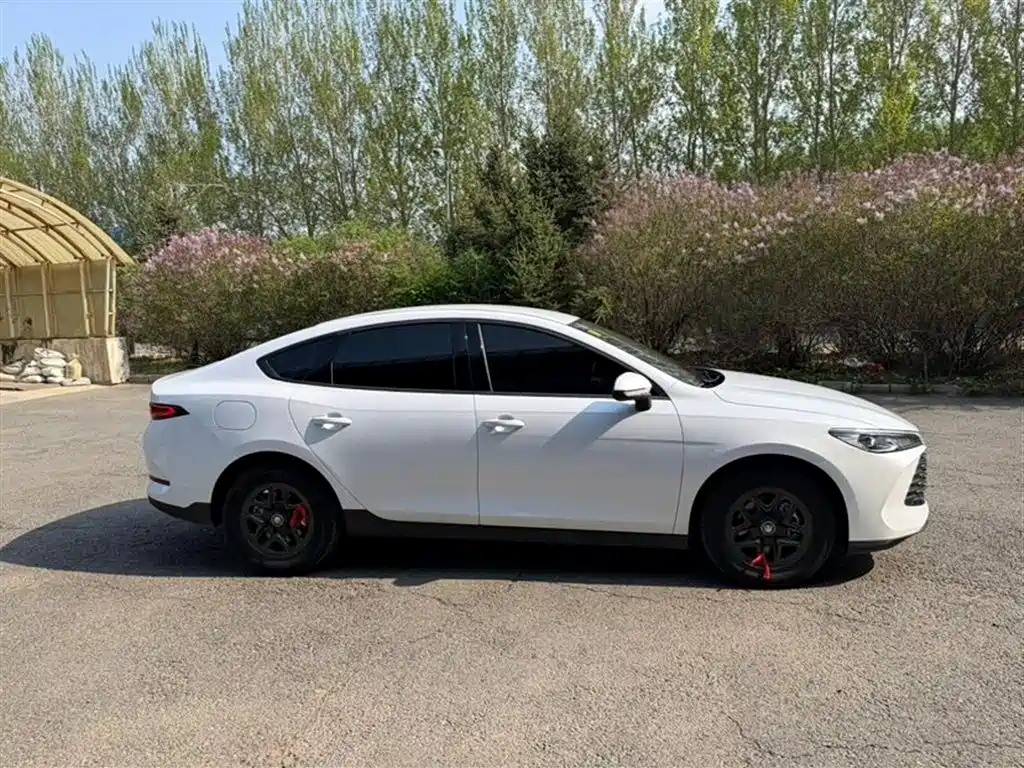 BYD Qin PLUS 2025 DM-i Smart Drive 55KM Leader фото 3