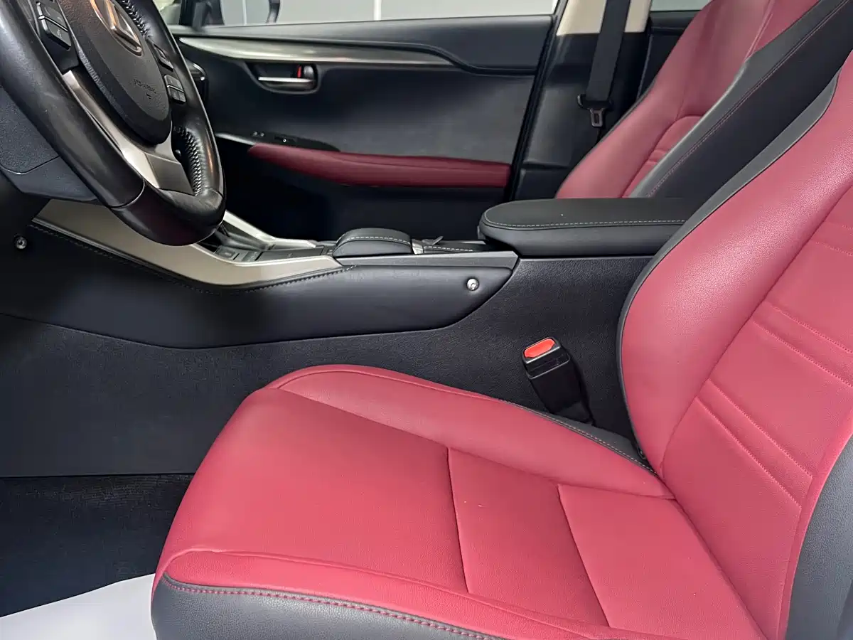 Lexus NX 2020 200 AWD F Sport China V фото 8