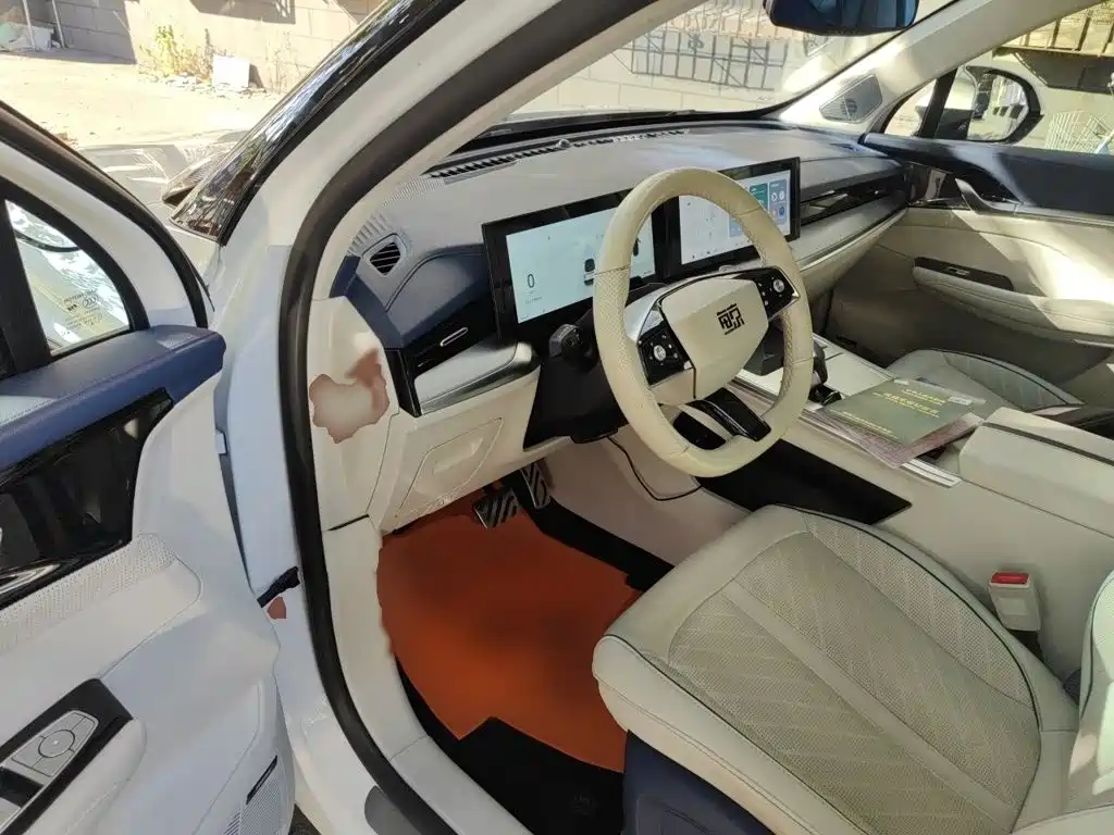Roewe Whale 2022 2022 2.0T Blue Whale Edition